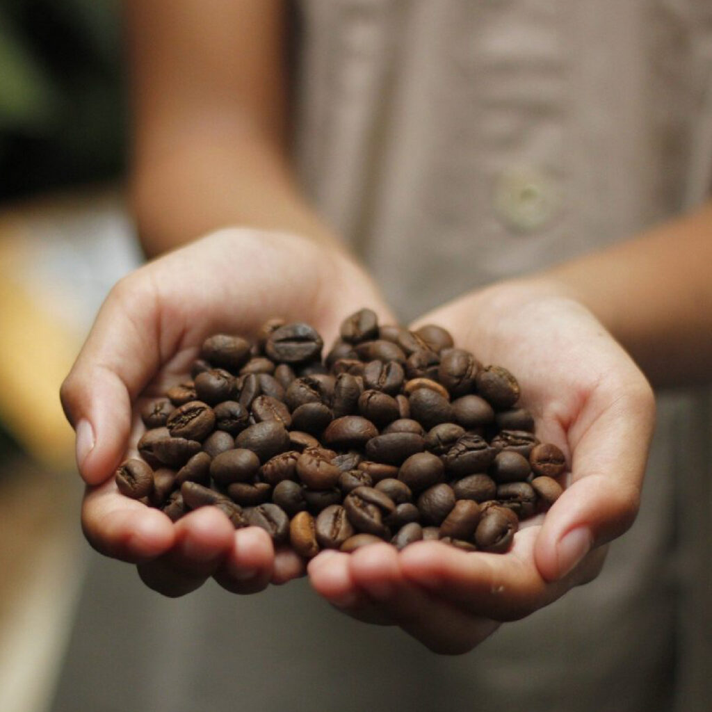 Nayarit: Innovación en la producción de café