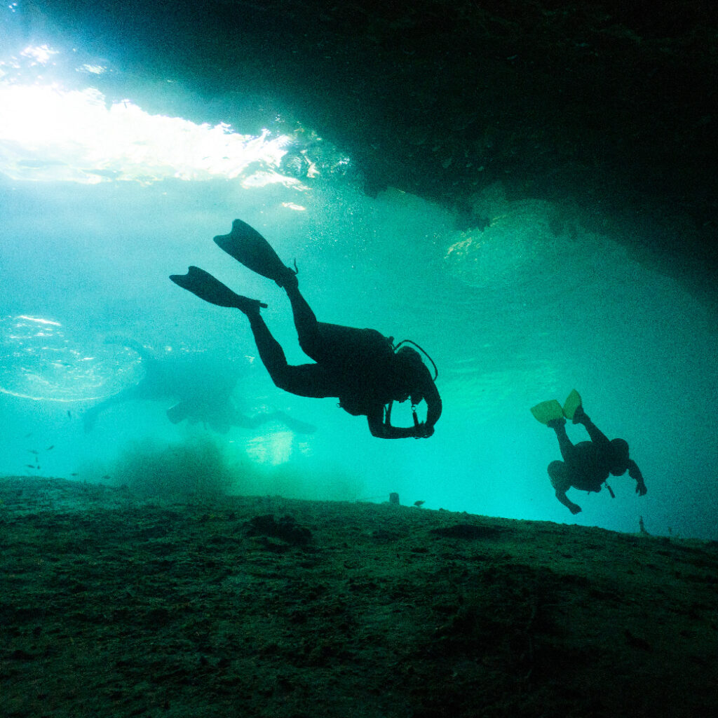 Buceo en los Cenotes de la Riviera Maya