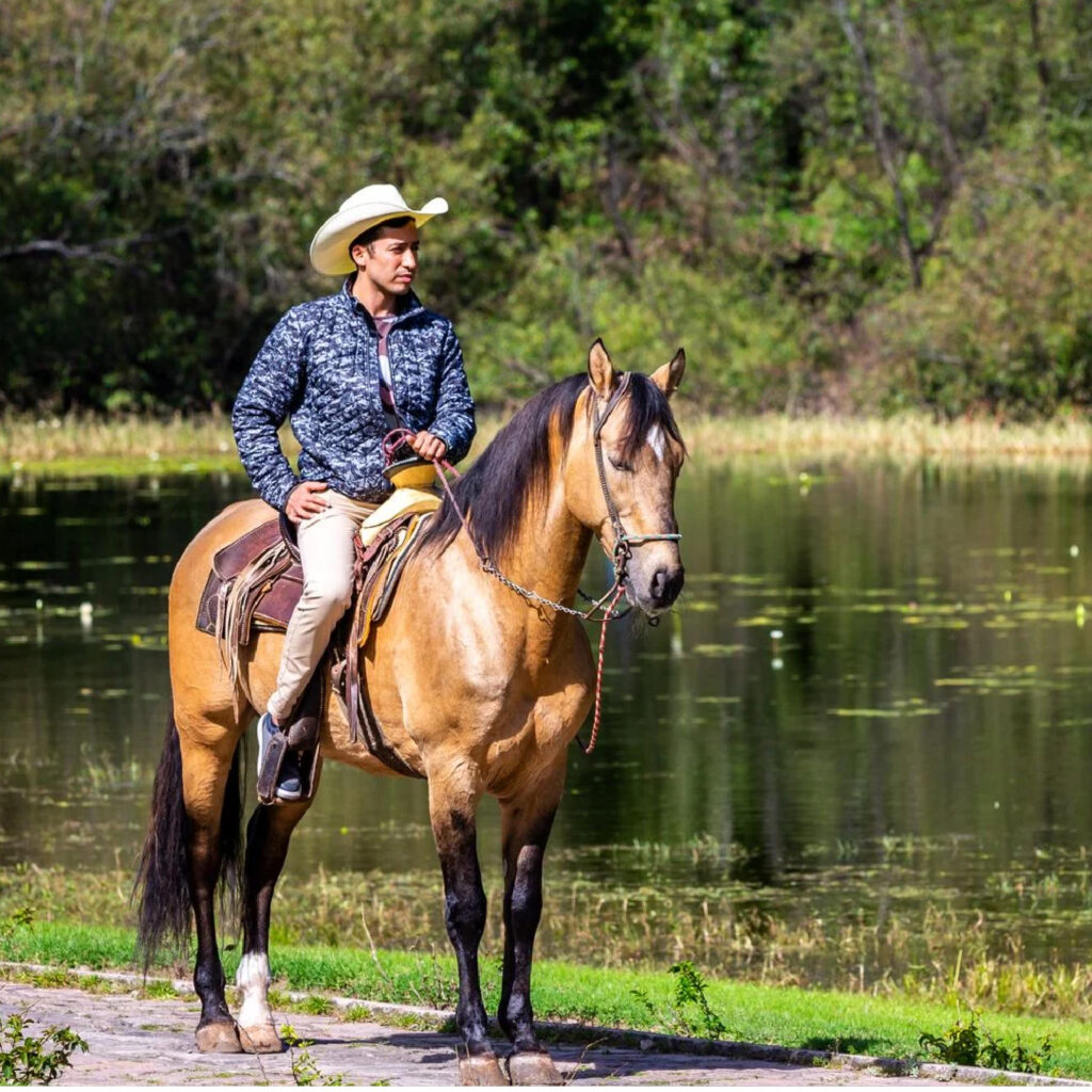 Cabalgatas en Paisajes Rurales