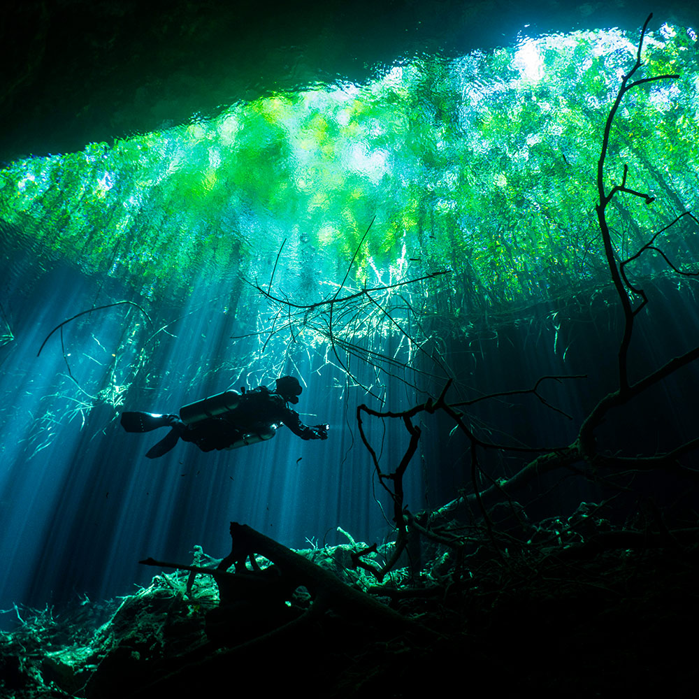 Cenotes: la magia del agua sagrada