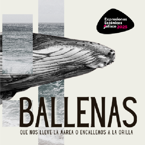 Cuarta parada teatral: “Ballenas, que nos lleve la marea o encallemos a la orilla”