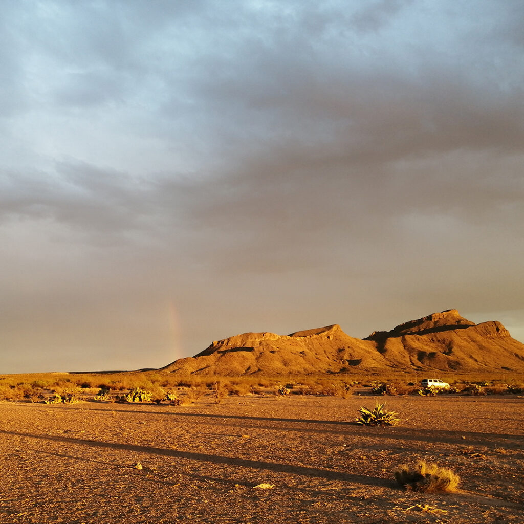 La biodiversidad inesperada de la Zona del Silencio